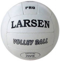 Мяч волейбольный Ларсен Про