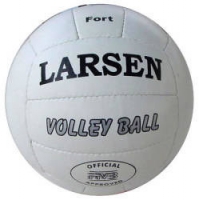 Мяч волейбольный Ларсен Форт